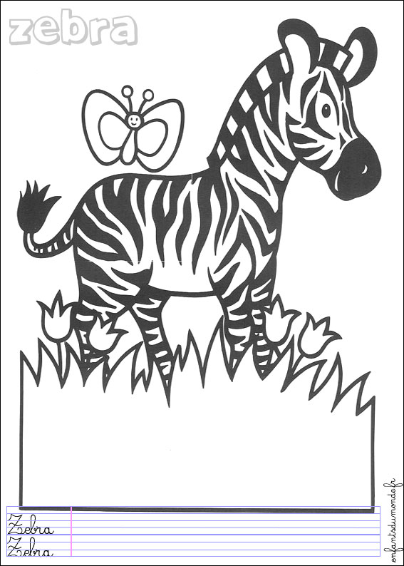 coloriage zebre 1